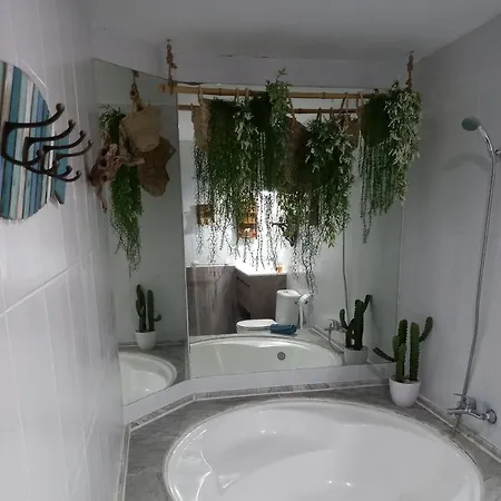 Apartment Casa Sala, Con Encanto En Natura